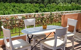 Agro Art Boutique & Luxury Villas - Two Art Villas With Pools, Unique Decors, And A Treehouse Option